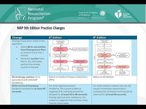 Updated Neonatal Resuscitation Guidelines 2025