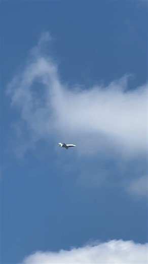 The J.R. Simplot Company Cessna Citation Latitude (N292JS)