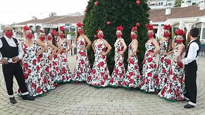 316K views · 4.8K reactions | Vídeo: El grupo municipal de Coros y Danzas de #Frigiliana nos hace llegar sus mejores deseos para estas fiestas, dedicando unas sevillanas navideñas al pueblo de Frigiliana, deseando a todos una Feliz Navidad y un año 2021 lleno de Salud, Trabajo, Amor y Felicidad. | AxarquiaPlus | Facebook