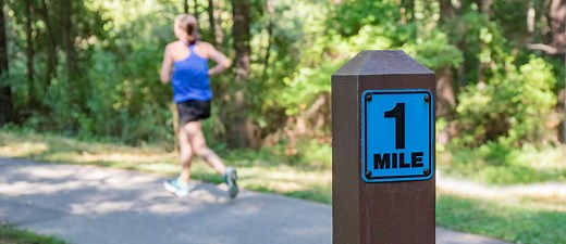 Airline Loyalty Programs: Main Aspects, Types, and a Technol