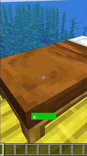 Minecraft Java vs Bedrock Differences You Need to Know! #minecraft #minecraftjava #javavsbedrock