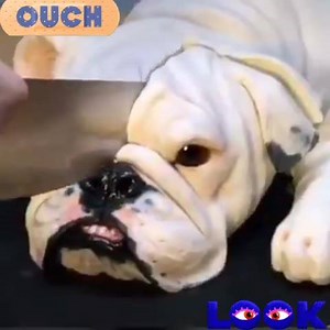 Channel 6 Fun Zone 😂😂🤣 | Channel 6