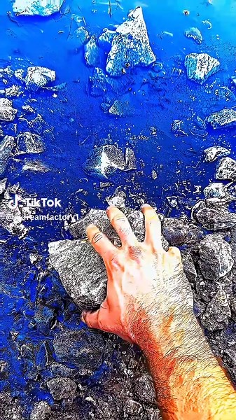 Zootopia Aesthetic Edits in 4K HDR