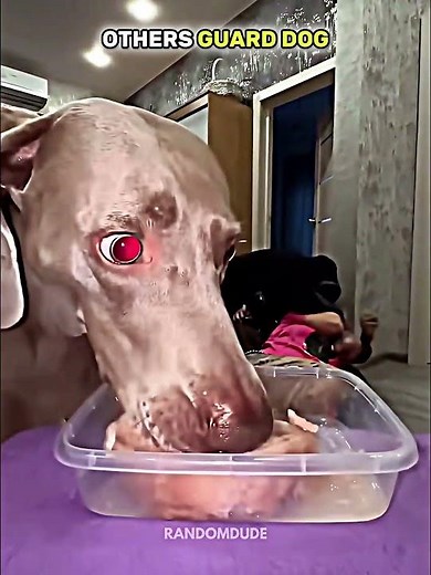 Last one went WRONG💀