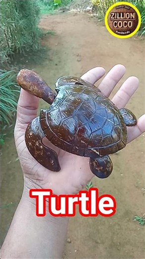 Turtle Made from Coconut Shell 🐢✨🥥🌴