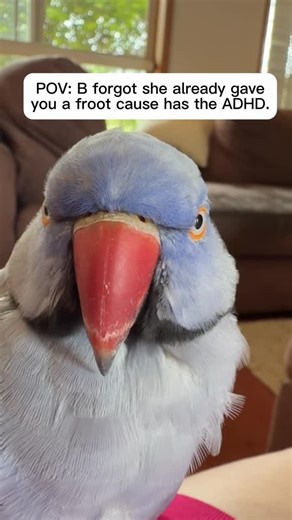 Bridget Chant on Instagram: "Many froot."