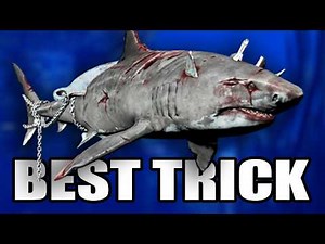How To Be The Best Shark In Depth