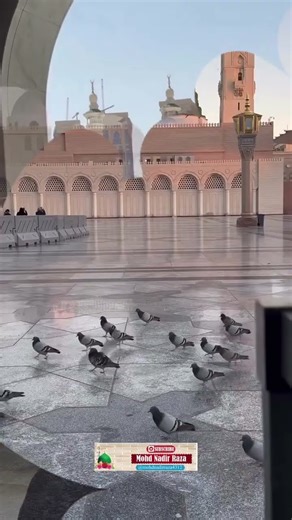 Ho karam sarkar ❤️New video #makkahmadinah #beautiful #trending #video #whatsapp #shortsvideo #yt 🕋