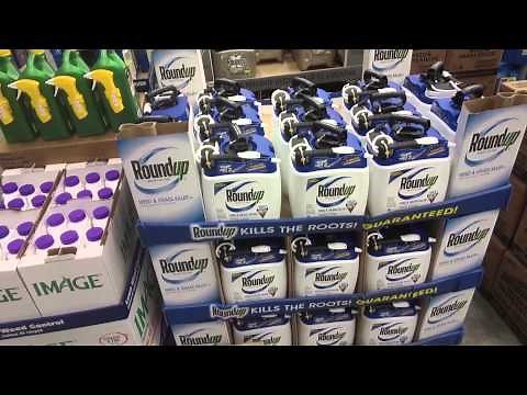 Shopping Inside a Lowe's store - Fort Myers, Florida