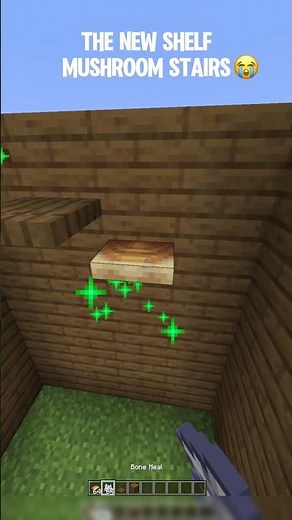 🚨 I built an ILLEGAL Mushroom Staircase! ⚡ #Minecraft