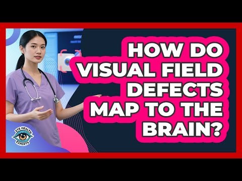 How Do Visual Field Defects Map To The Brain? - Eye Health Experts