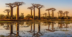 Best Way to Travel Around – The World Cruise