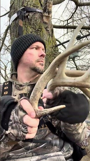 Comparing Deer Rattle Calls | Pack Rack vs Real Deer Antlers #deerhunting #rattling