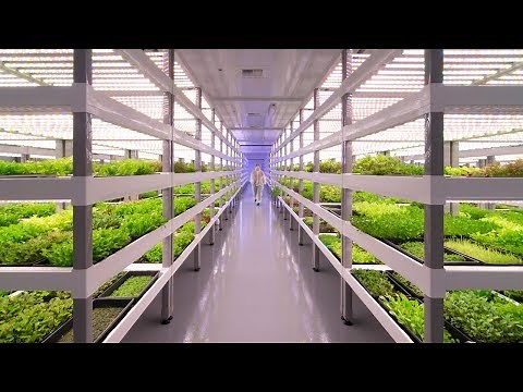Growing Up: How Vertical Farming Works