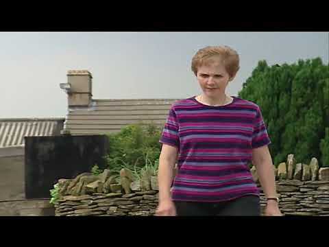 Farm Animals & Vehicles For Kids Fun Farm Day For Children With TEC The Tractor Full Episodes