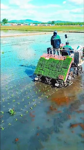Precision Paddy– Planting with Innovative Tool !