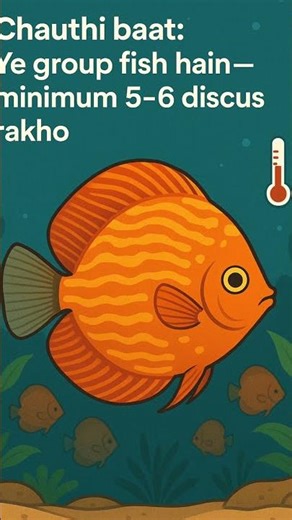 Discus Fish Secrets 😳 Most Beautiful & Intelligent Aquarium Fish Ever! #discusfish #shorts