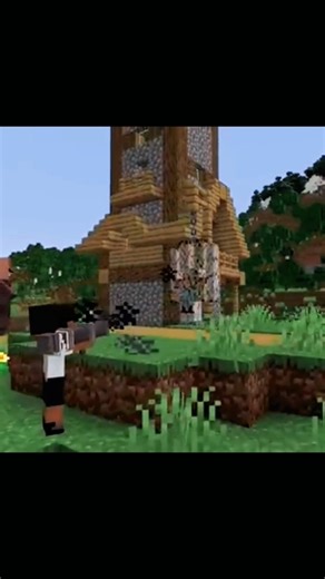 #minecraft #comedyeffect