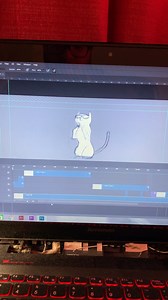 Anyone uses tv paint? I really want to get it and it’s hard saving up that kind of cash, does anyone use a cracked version? If so can someone guide me to the dark side (this cat was done with photoshops cc)