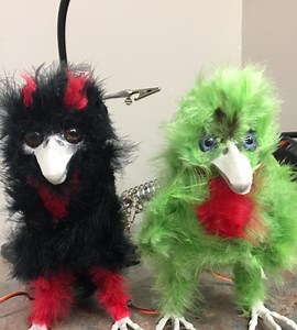 Animatronic Bird Creature