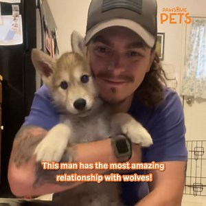 He's the leader of the wolfpack! 🐺 | Pawsome Pets