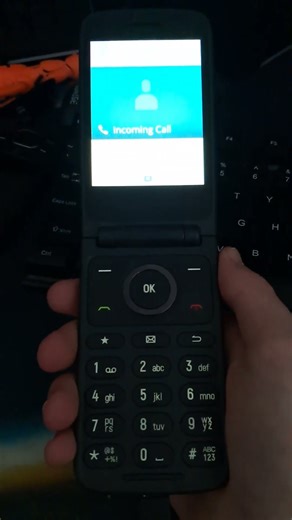 TCL Flip 3 Incoming Call (TracFone)