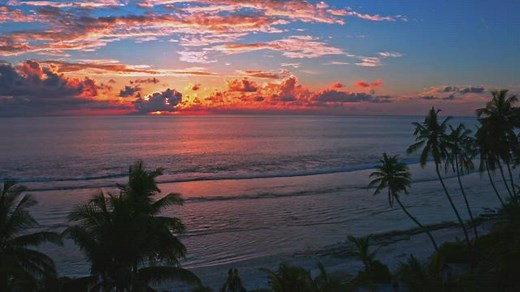 Free Beach Videos: 4K & HD | No Watermark | Download Now