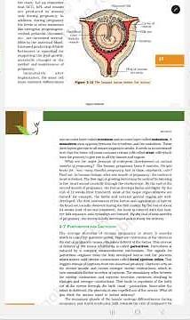 Human reproduction - implantation and Embryonic development class 12 BIOLOGY Chapter 2