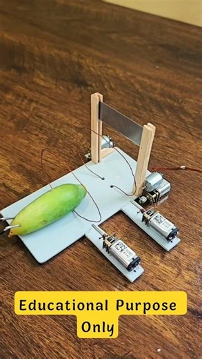how to make electric mouse trap at home #diy #tech #dcmotor #shorts