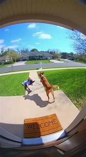Gigglens: Mailman TRIPS! 📦 Adorable Dog Runs to Rescue the Mail! 🐕📬 (Good Boy Hero)