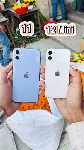 iPhone 11 Vs iPhone 12 Mini || Camera Zoom Test! #shorts #shortvideo