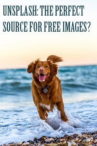 Unsplash: The Perfect Source for Free Images? - Photodoto