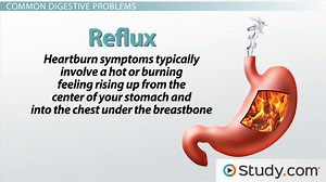 Gastrointestinal Problems | Definition, Causes & Symptoms