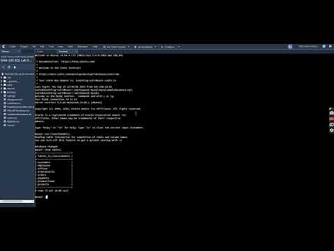 DAD 220 Week 4 Lab Setup