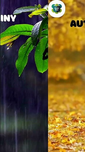 🌸 Seasons of India: From Spring to Winter – Complete Guide to All Weathers