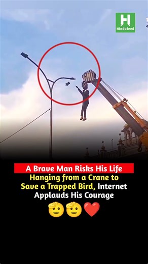 Brave Man Hangs from Crane to Rescue Trapped Bird, Internet Applauds His Courage