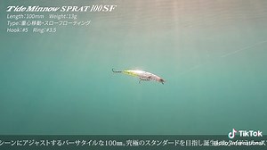 🆕Tide Minnow SPRAT 100SF あらゆるシーンにアジャストするバーサタイルな100㎜ 究極のスタンダードを目指し誕生したタイドミノースプラットに 待望の100ミリサイズの登場！ 港湾、河川、磯、サーフと場所を問わず使え、 アクションは様々な状況にアジャストするロールを強めたウォブンロールに設定。 マグネット固定式重心移動の7mm大型磁着タングステンボールを搭載し、突き抜けるキャストフィールを実現。 ベテラン、ビギナー問わずお使い頂けるオールラウンドな仕上がりとなっています。 🆕Tide Minnow SPRAT 100SF 好評発売中!!✨ #DUO #DUOinternational #TideMinnowSPRAT #tideminnow #スプラット #lure #lurefishing #lurebuilding #fishing #lurebilding #tideminnowsprat100 #スプラット100 #タイドミノースプラット #デュオ #ルアー #ルアー釣り #シーバス #シーバス釣り #シーバスルアー #スプラット100SF