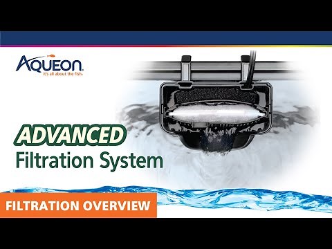 Aqueon Filter Overview