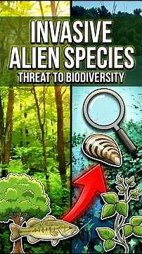 Invasive Alien Species Threat to Biodiversity | Environment & Ecology for UPSC | Ojasvi IAS