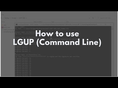 How to use LGUP (Command Line)