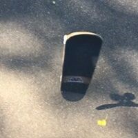 Easy Beginner Skateboard Tricks for Rapid Improvement