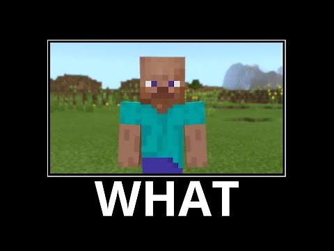WAIT WHAT (Minecraft) #12