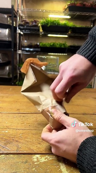 Light-up Terrarium Kit: Create Your Own Ecosystem