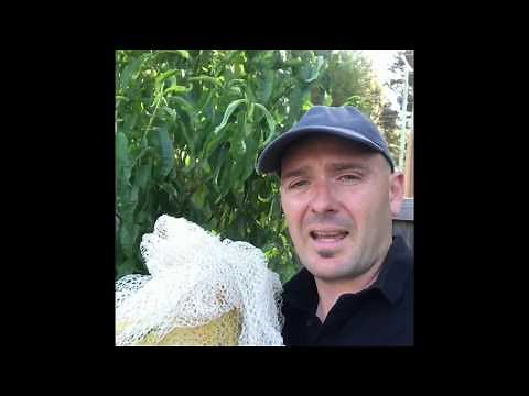 Snakes V Bird Netting