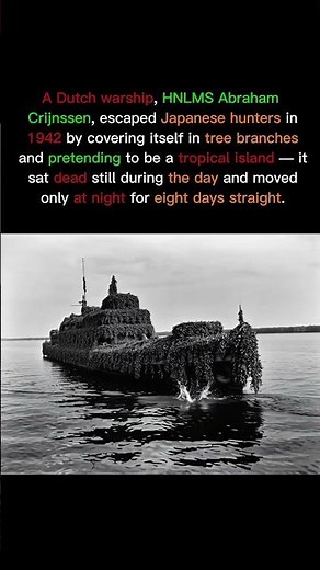 The WW2 Warship That Hid as an Island
