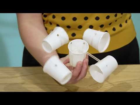 Wind Energy: How to Build an Anemometer | Bite-Size Science