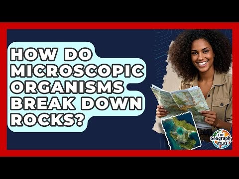 How Do Microscopic Organisms Break Down Rocks? - The Geography Atlas