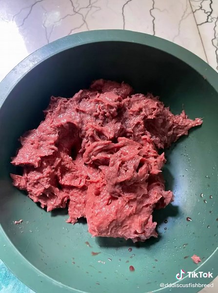 homemade discus foods