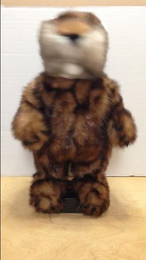 Vintage Caddyshack gopher dancing with the song.