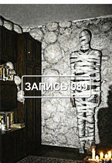 Странная запись, найденная на одном из Объектов в г. Иркутске. Эти кадры были обнаружены в 2013 году. На видео запечатлён тревожный мужчина, который, предположительно, намеренно заразил собственную квартиру... Продолжение в ТГ: project_kontur #horror #creepypasta #foundfootage #хоррор